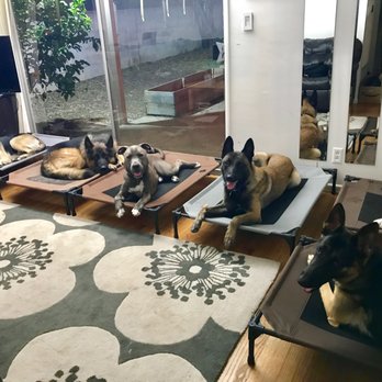 Pet Peeves Training - Bring order to your home with the "Place" command! - Pet Training Near Me - Canoga Park, California Pet Peeves Training - Bring order to your home with the "Place" command! - Pet Training Near Me - Canoga Park, California