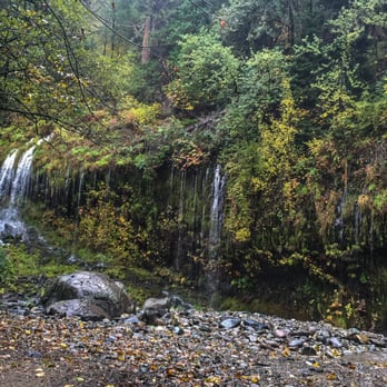 Mossbrae Falls - Access Restricted - Someone put a bench here. - Hiking Near Me