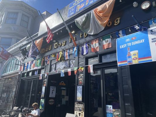 Mad Dog in the Fog by null