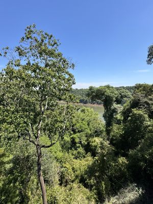 Iguazu Jungle Lodge by null