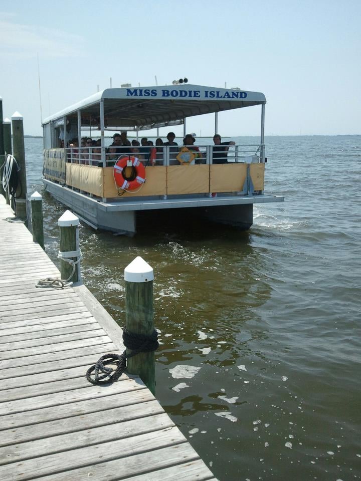 OBX Dolphin Tours