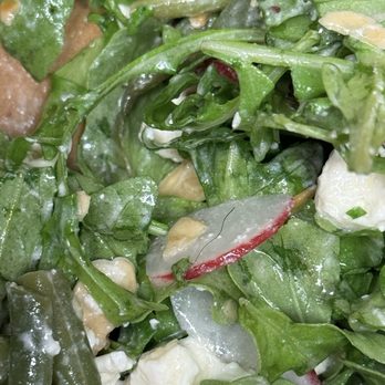 ALTA Bakery & Cafe - Found a hair in the salad while eating it. - Cafes Near Me - Monterey, California ALTA Bakery & Cafe - Found a hair in the salad while eating it. - Cafes Near Me - Monterey, California