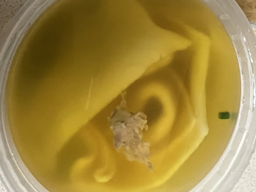 PANDA GARDEN - Updated February 2026 - 61 Reviews - 275 W Mt Pleasant ...