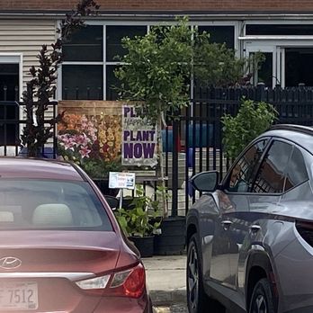Strader's Garden Center - Front of store - Nurseries & Gardening Near Me - Columbus, Ohio