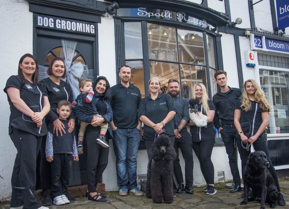 SPOILT ROTTEN DOG GROOMER & BOUTIQUE: PINNER - Updated May 2024 - Yelp