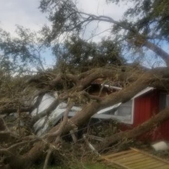 The Tree Monkeys - Tree Monkeys LLC -TREE TRIMMING
TREE REMOVAL
STUMP REMOVAL - Tree Services Near Me