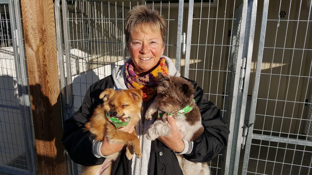 DWIRE’S COUNTRY KENNEL 2120 S US Rt 42, Lebanon, Ohio Pet Sitting