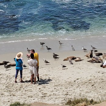 La Jolla Cove - Crowds and seals - Parks Near Me - La Jolla, California La Jolla Cove - Crowds and seals - Parks Near Me - La Jolla, California