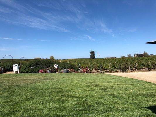 McKenzie-Mueller Winery by null