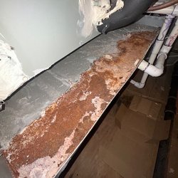 Best Neighbor Home Services