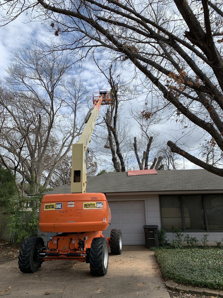 Ballard Tree Service - tree service in Azle, TX