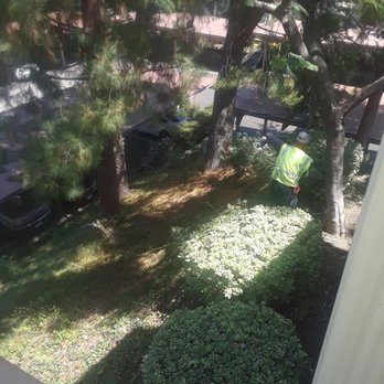 Andre Landscape Service - Damaging the hills - Landscaping Near Me - San Marcos, California