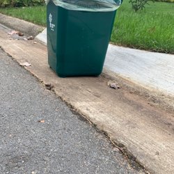 Sad bin not picked up for weeks on end