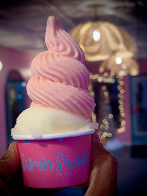 Sum’n Sweet Frozen Treats by null