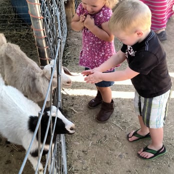 Superstition Farm - Aww - Farmers Market Near Me - Mesa, Arizona Superstition Farm - Aww - Farmers Market Near Me - Mesa, Arizona