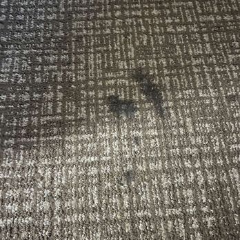 Comfort Suites - more stains - Hotels Near Me - Clackamas, Oregon