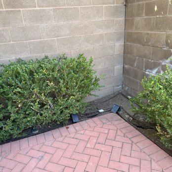 David Bahena Yard, Tree, and Home Services - after - Landscaping Near Me David Bahena Yard, Tree, and Home Services - after - Landscaping Near Me