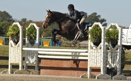 Three Fox Farm - equestrian in Blythewood, SC