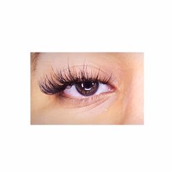 The Lash Studio - Lashes by CoCo