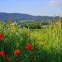 Photo of Ania Travel Agency
