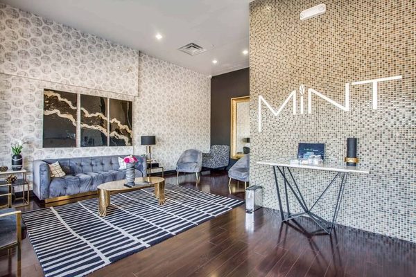 MINT orthodontics | Garland
