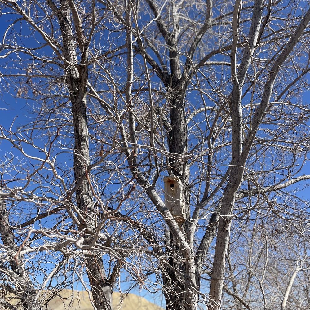 Rest Area I-70 W - Bird houses attracting local birds - Rest Stops Near Me - Thompson, Utah