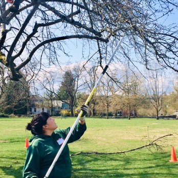 Kaleidoscope - a woman holding a pole in a park - Gardeners Near Me - Shoreline, Washington Kaleidoscope - a woman holding a pole in a park - Gardeners Near Me - Shoreline, Washington