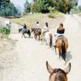 Photo of LA Horse Rentals