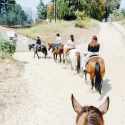 LA Horse Rentals - 1 hour oak canyon ride