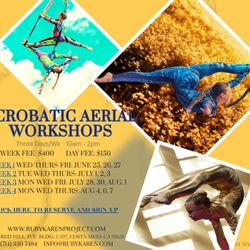 Orange County Aerial Arts - Aerial Acrobatic Intensive Workshop
Three (3) Immersion Days focussed on Silks, Trapeze, Hoop, Hammock, Rope & Contemporary Apparatus