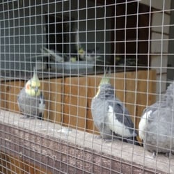 Tierpark Fasanerie