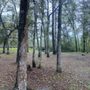 Photo of Porter Lake Campground