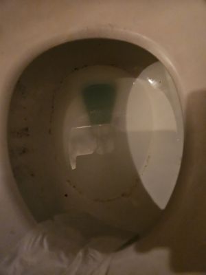 Harvard and Stone by null