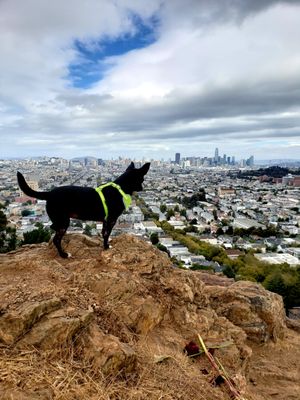 Bernal Heights by null