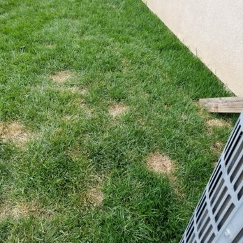Green IQ Landscaping & Construction Services - Landscaping Near Me Green IQ Landscaping & Construction Services - Landscaping Near Me
