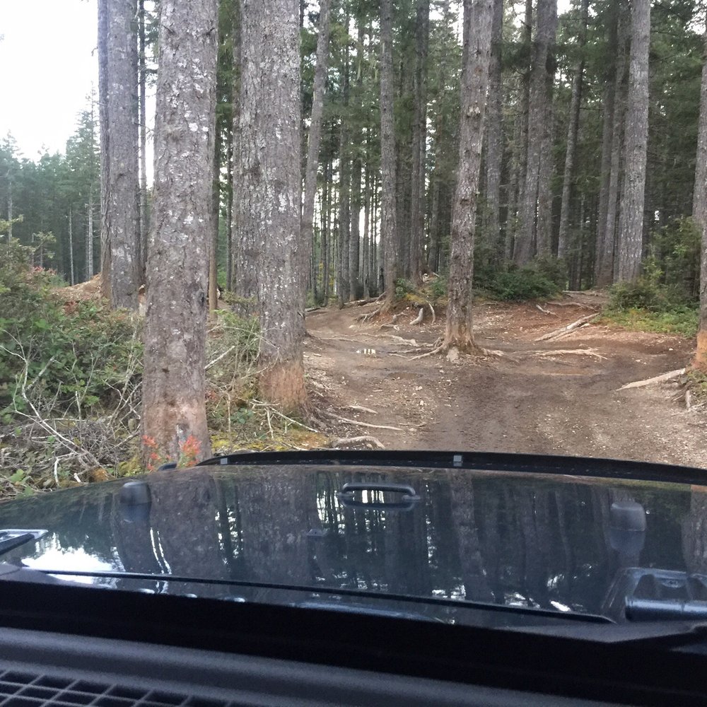 Tahuya State Forest 4x4 Park - Parks Near Me Tahuya State Forest 4x4 Park - Parks Near Me