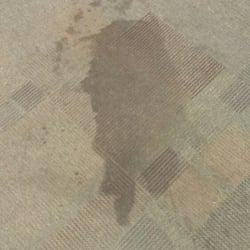 Oxi Fresh Carpet Cleaning - Before