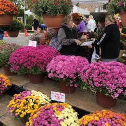 Pleasantville Farmers Market - Outdoor - Fresh flowers