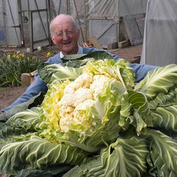 Victory Garden Nursery - Organic Fertilizer Encinitas