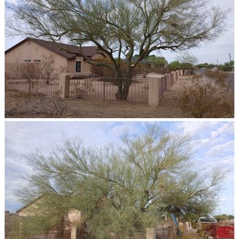 Bynum Tree and Landscape - Tree trimming in Mesa, AZ Bynum Tree and Landscape 2025 - Landscaping Near Me Bynum Tree and Landscape - Tree trimming in Mesa, AZ Bynum Tree and Landscape 2025 - Landscaping Near Me