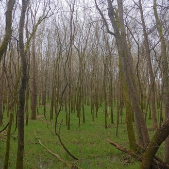 Hidden Lake State Park - Parks Near Me - Nashville, Tennessee
