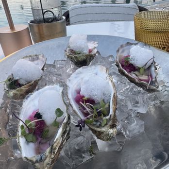 Vela - Oysters on the half shell. Get them. That's all I have to say. I love oysters and these were exceptional. - Italian Near Me - Cabo San Lucas, BCS Vela - Oysters on the half shell. Get them. That's all I have to say. I love oysters and these were exceptional. - Italian Near Me - Cabo San Lucas, BCS