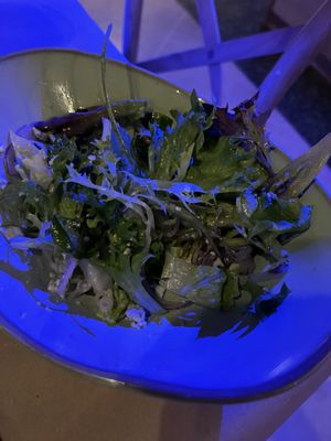 Square Grouper Bar and Grill by null
