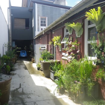 Mappins Nursery+Aquarium - Pet Stores Near Me - West End, QLD