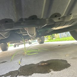 Had oil service yesterday and the leaking started when I got home.. it was a very sloppy work. Do not recommend this place.. Had oil service yesterday and the leaking started when I got home.. it was a very sloppy work. Do not recommend this place..