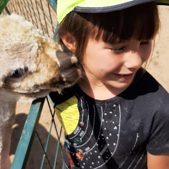 A Simpler Time Alpaca Farm And Mill - lil baby giving my baby kissies - Knitting Supplies Near Me - El Cajon, California