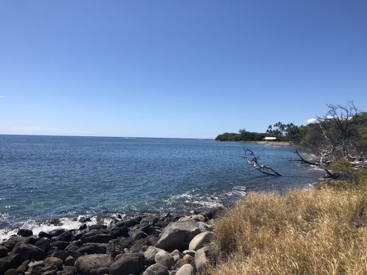 Olowalu Beach by null