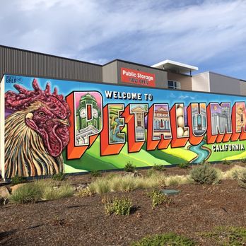 Public Storage - Pretty sweet mural to see and photograph! - Self Storage Near Me - Petaluma, California