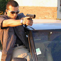 Falcon, Professional Security and Training
