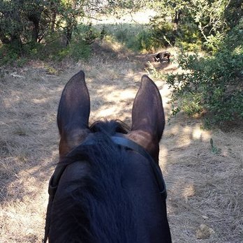 Conner Combined Training - Horseback Riding Near Me - Liberty Hill, Texas